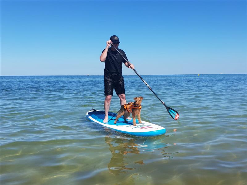 Hot Sale Big Winds Store -Hot Sale Big Winds Store 324